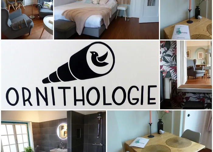 De Wetenschap Panzió